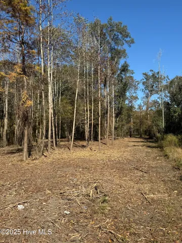 $88,000 | 1 East Marney Drive, Burgaw, NC 28425