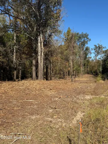 $88,000 | 1 East Marney Drive, Burgaw, NC 28425