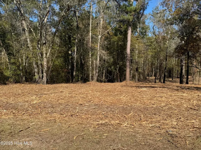 $88,000 | 1 East Marney Drive, Burgaw, NC 28425