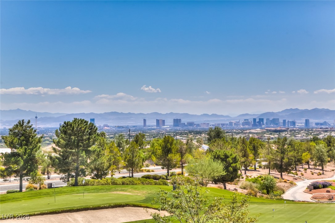 10508 West Snyder Avenue Las Vegas, NV 89134 - Photo 39 of 40