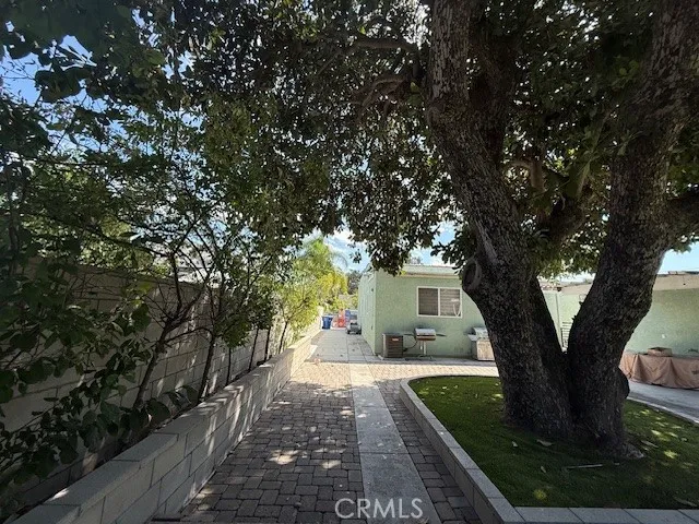 a white house covered with tall trees