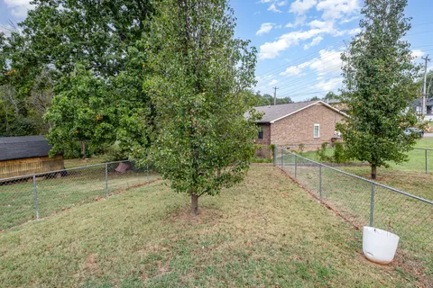 a view of a backyard