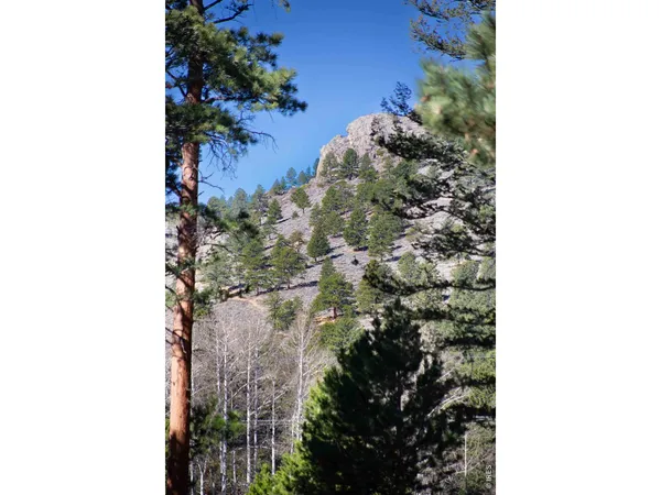 $1,199,000 | 2728 Cumulus Drive, Estes Park, CO 80517