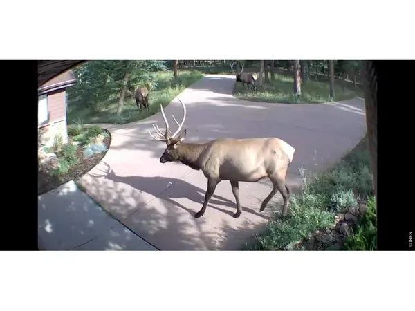 $1,199,000 | 2728 Cumulus Drive, Estes Park, CO 80517