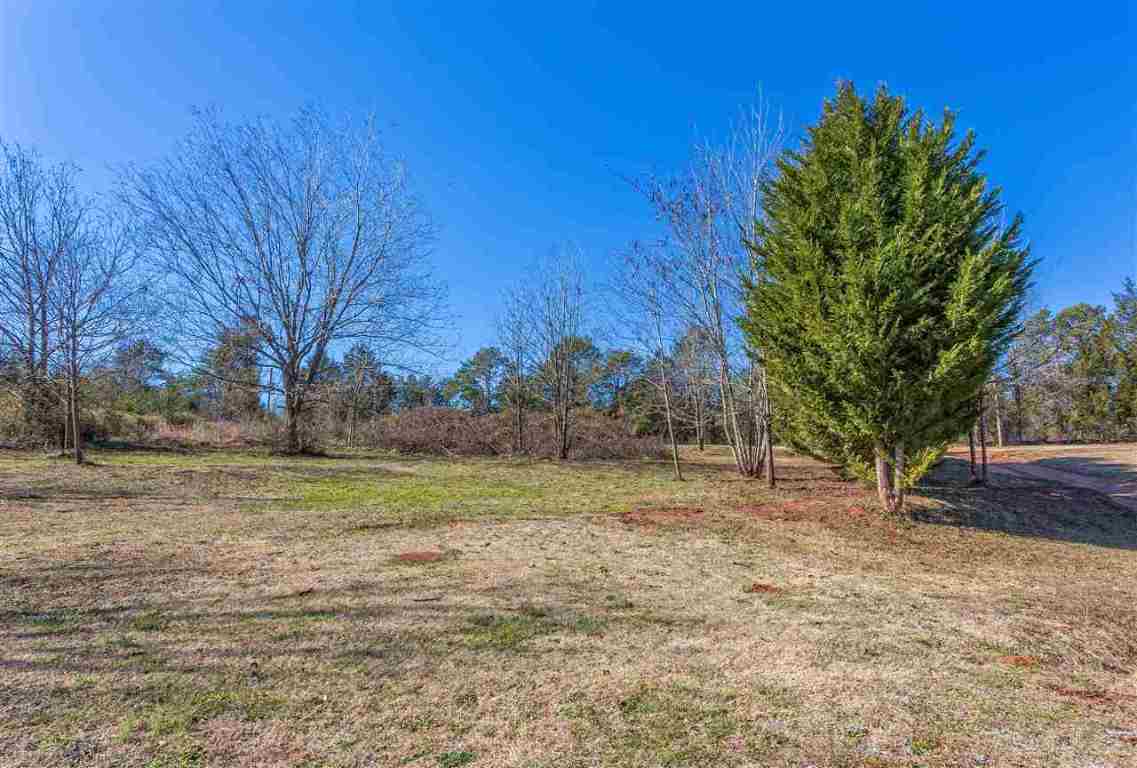 549 Friendship Road, Unit 23 08 ACRES UNRESTRICTED Seneca, SC 29678 - Photo 18 of 33 Gallery Image 18