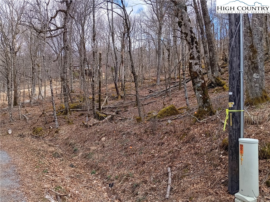 107 Hummingbird Road Beech Mountain, NC 28604 - Photo 1 of 1 Gallery Image 1