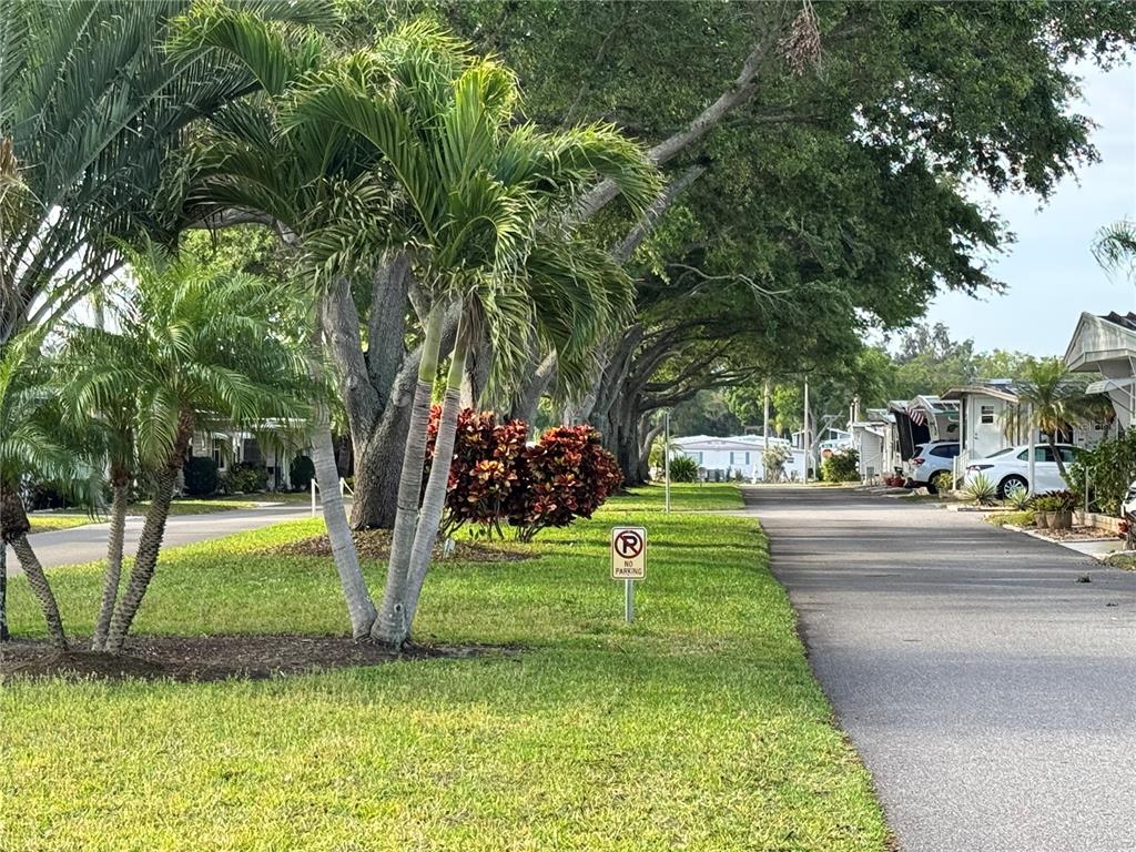 2331 Belleair Road, Unit 804 Clearwater, FL 33764 - Photo 29 of 37 a view of a fountain in front of a house with a big yard and large trees