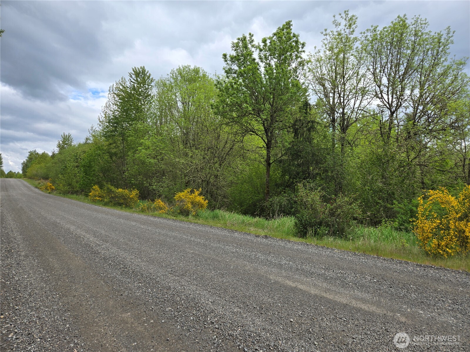 5102 Harts Lake Road South Roy, WA 98580 - Photo 3 of 26 a view of a field with plants and trees