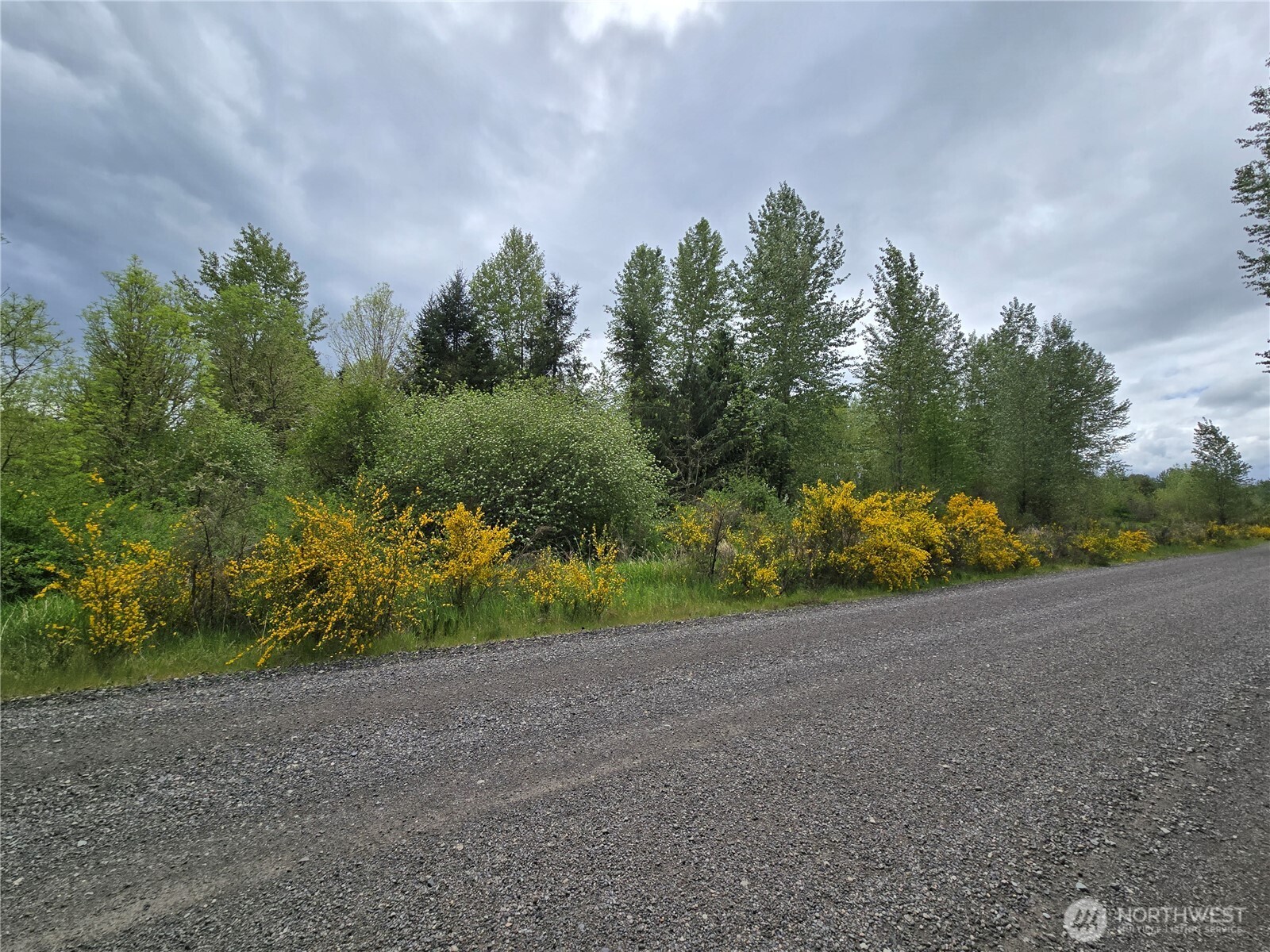 5102 Harts Lake Road South Roy, WA 98580 - Photo 6 of 26 a view of a field with trees in background
