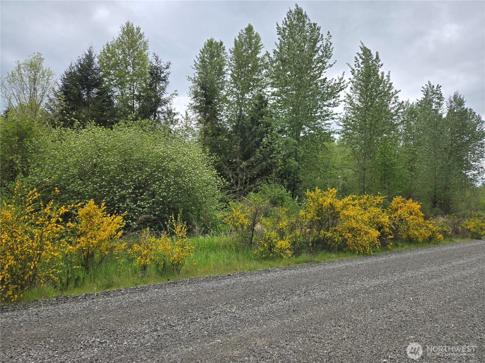 5102 Harts Lake Road South Roy, WA 98580 - Photo 7 of 26 a view of path and tree