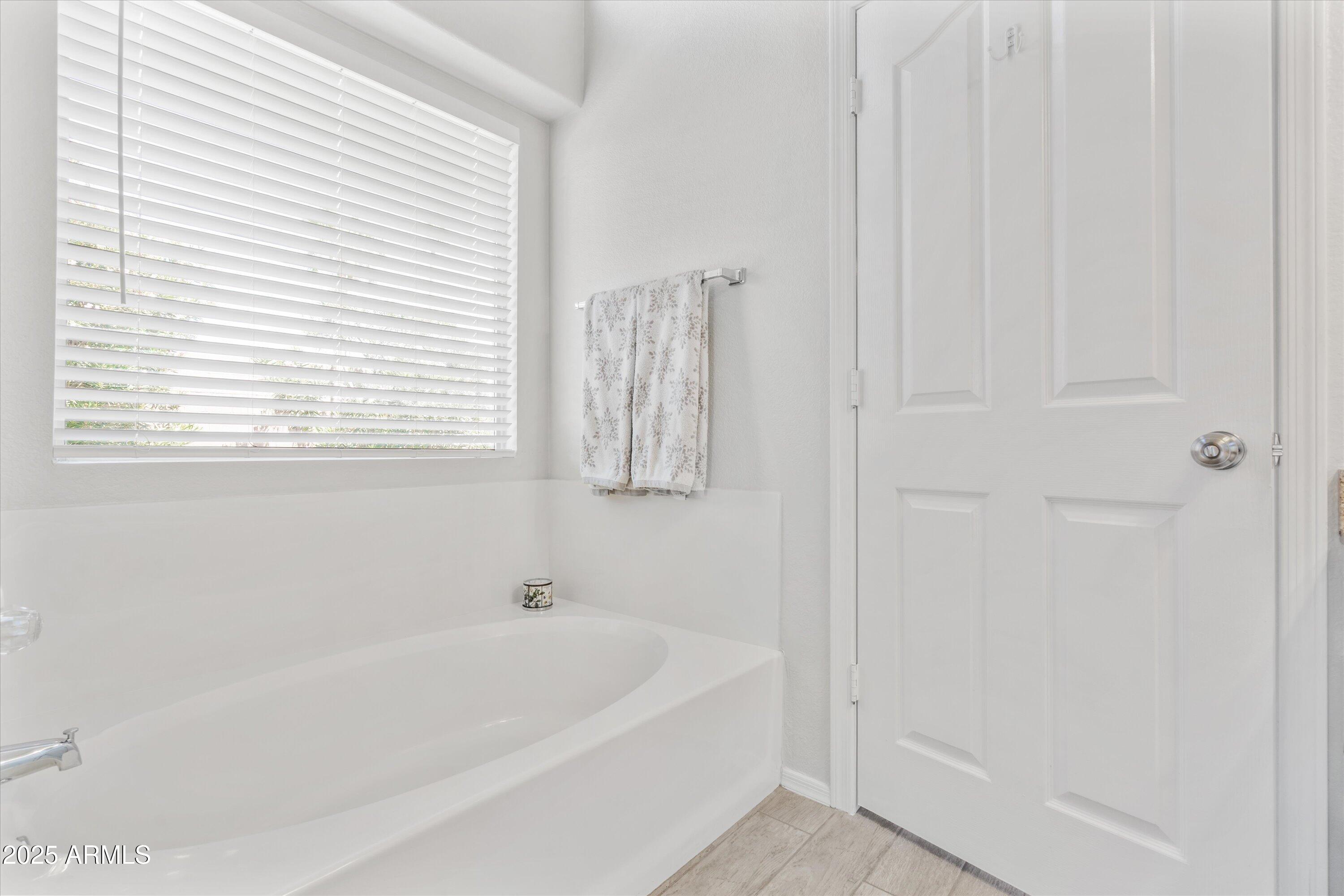 153 South Garnet Road Gilbert, AZ 85296 - Photo 17 of 34 20-DSC00242