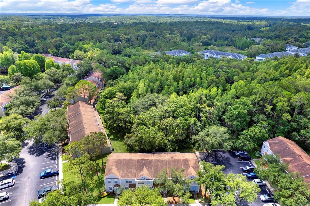 8541 Hunters Key Circle Tampa, FL 33647 - Photo 21 of 24 a view of a garden with a lot of trees