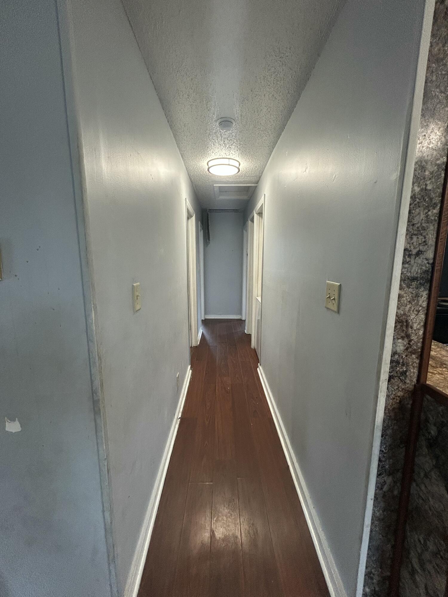 12 Sheppard Street Charleston, SC 29403 - Photo 9 of 14 IMG_2089