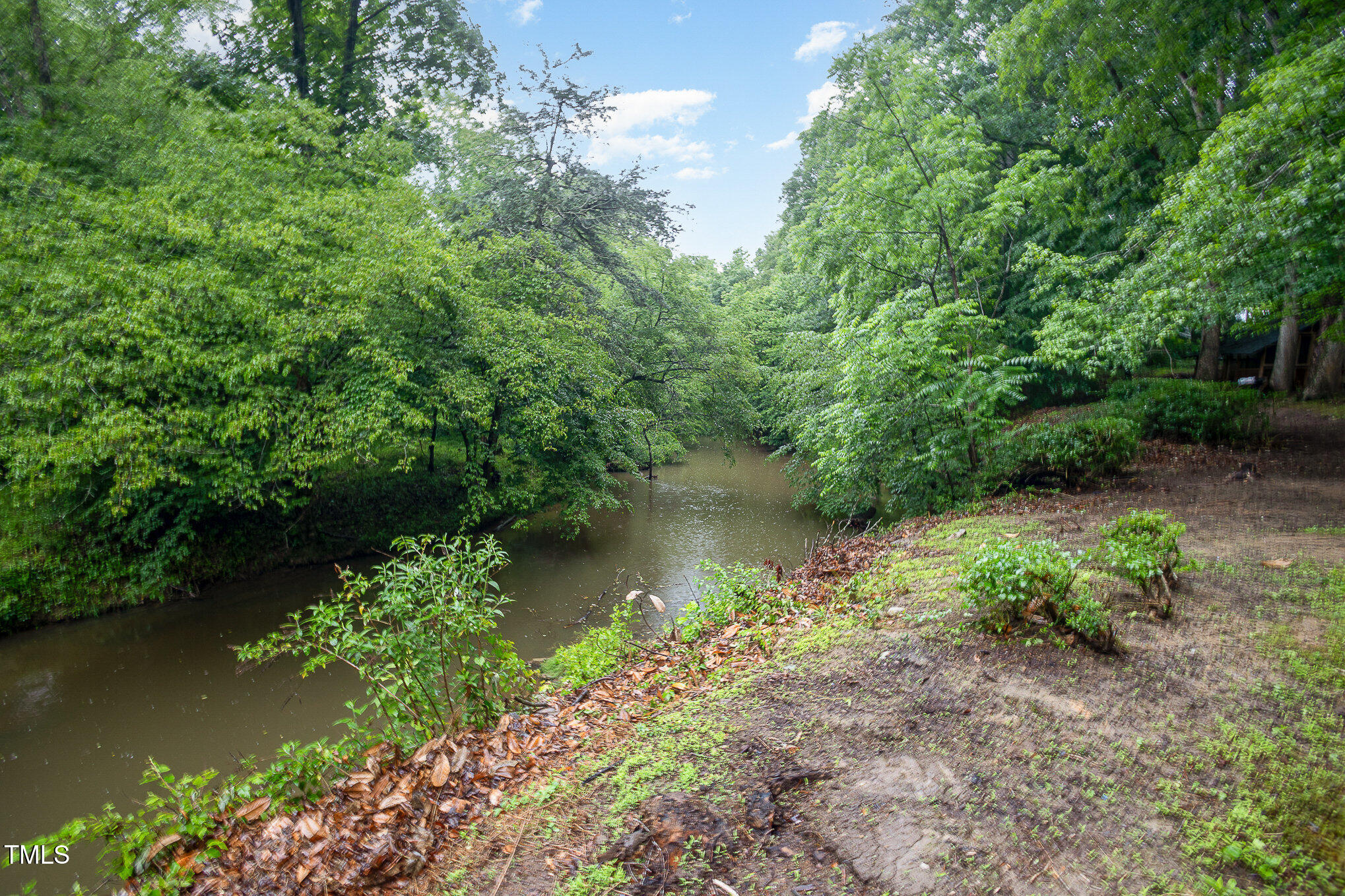 4777 Helena Moriah Road Rougemont, NC 27572 - Photo 24 of 41 Creek