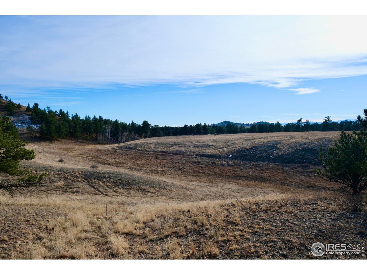 1549 Old Ranch Road Livermore, CO 80536 - Photo 17 of 17 Gallery Image 17
