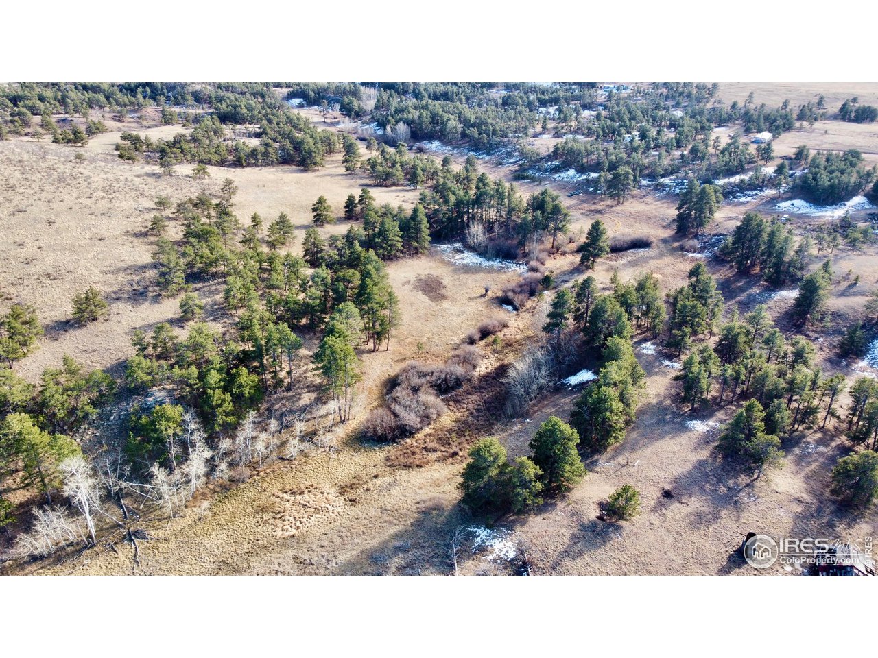 1549 Old Ranch Road Livermore, CO 80536 - Photo 9 of 17 Gallery Image 9