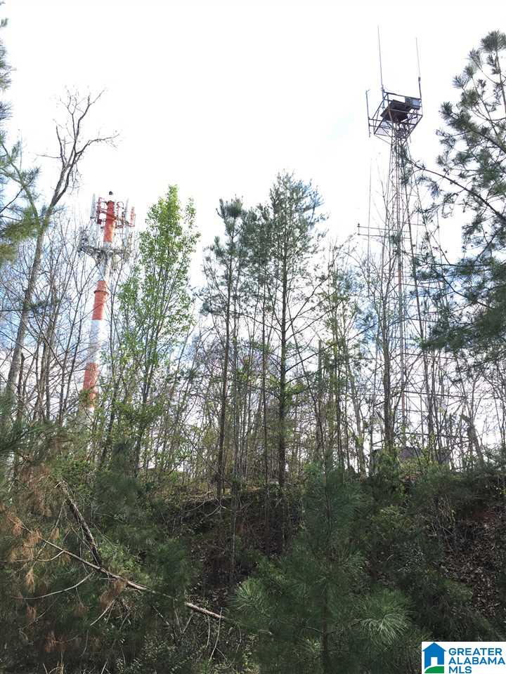 230 County Line Road Oxford, AL 36203 - Photo 36 of 50