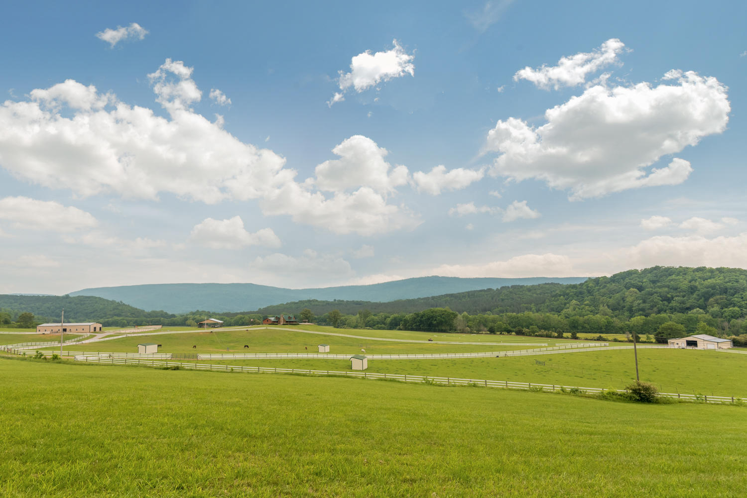 458 Howard Beavert Road Dunlap, TN 37327 - Photo 5 of 85 458_Howard_Beavert_Rd_02