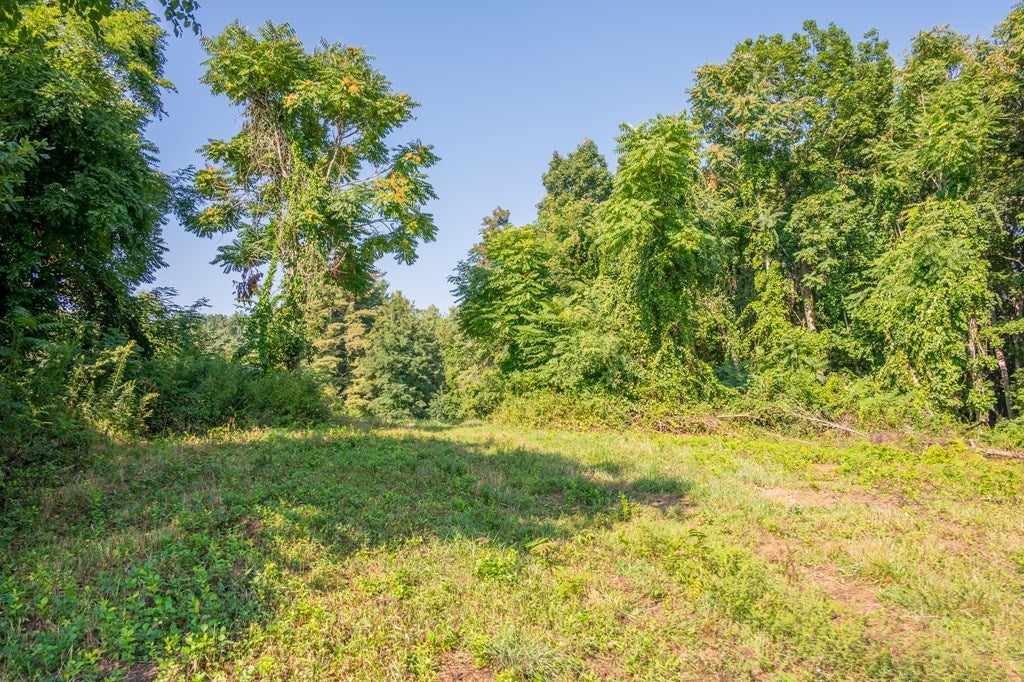 7950 Conner Road Northeast, Unit 5 Copper Hill, VA 24079 - Photo 22 of 25 Gallery Image 22