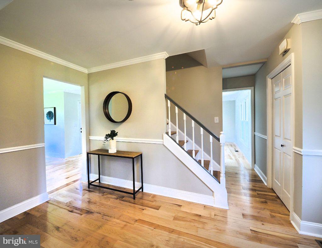 13612 Brookline Road Baldwin, MD 21013 - Photo 8 of 44 Foyer- Freshly Painted and New Hardwood Floors