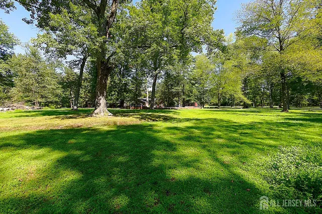 a view of a grassy field with trees