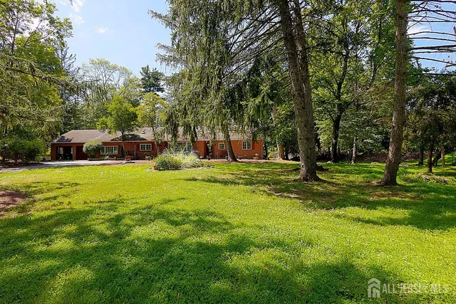 a view of a park with large trees