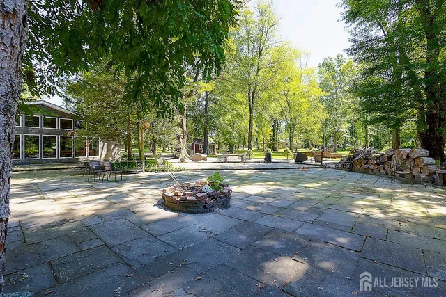 a view of a yard with plants and trees