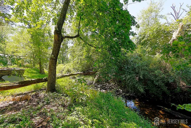 a view of a yard with a tree