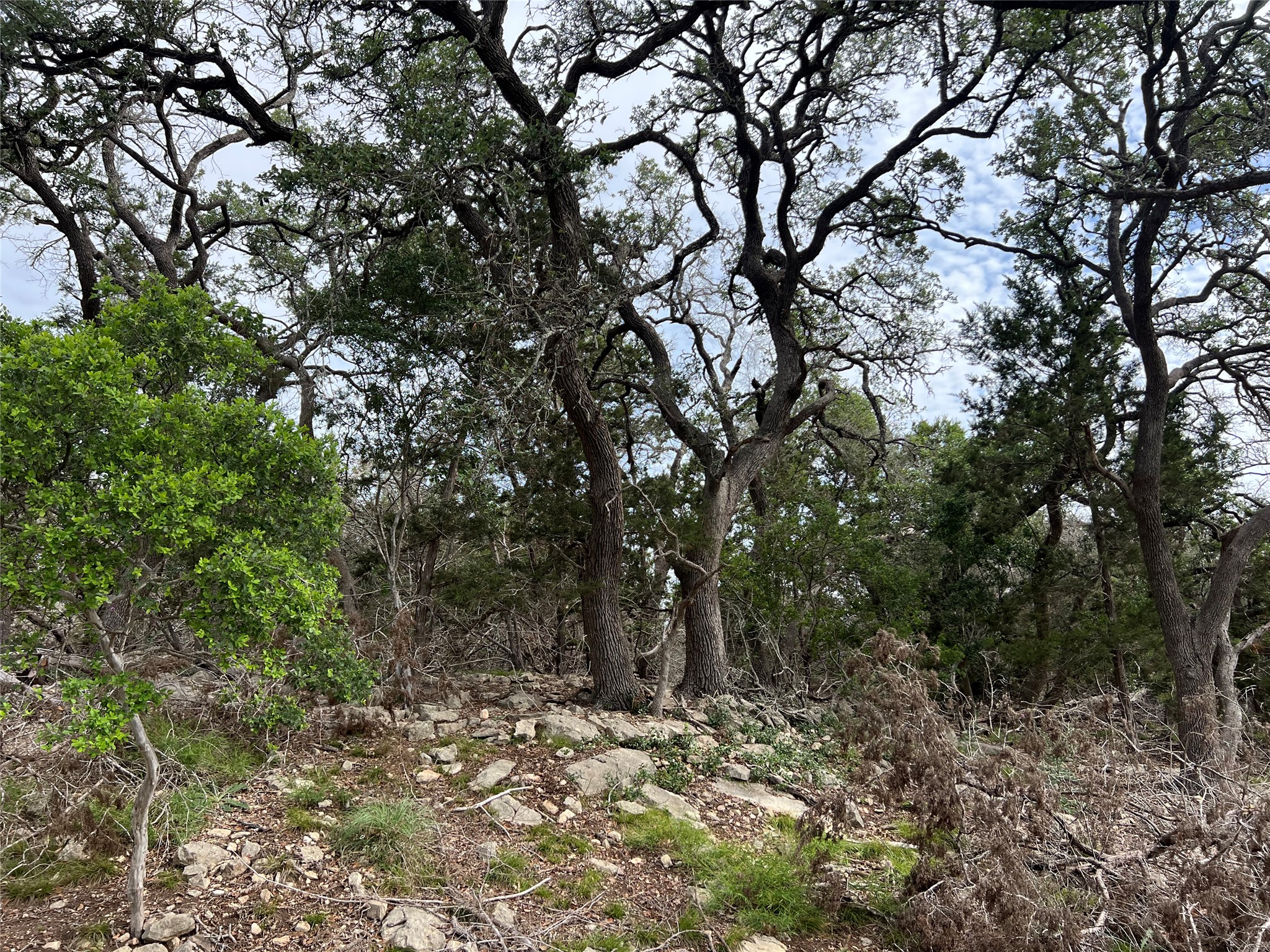 Tbd Narrows Road Blanco, TX 78606 - Photo 5 of 10