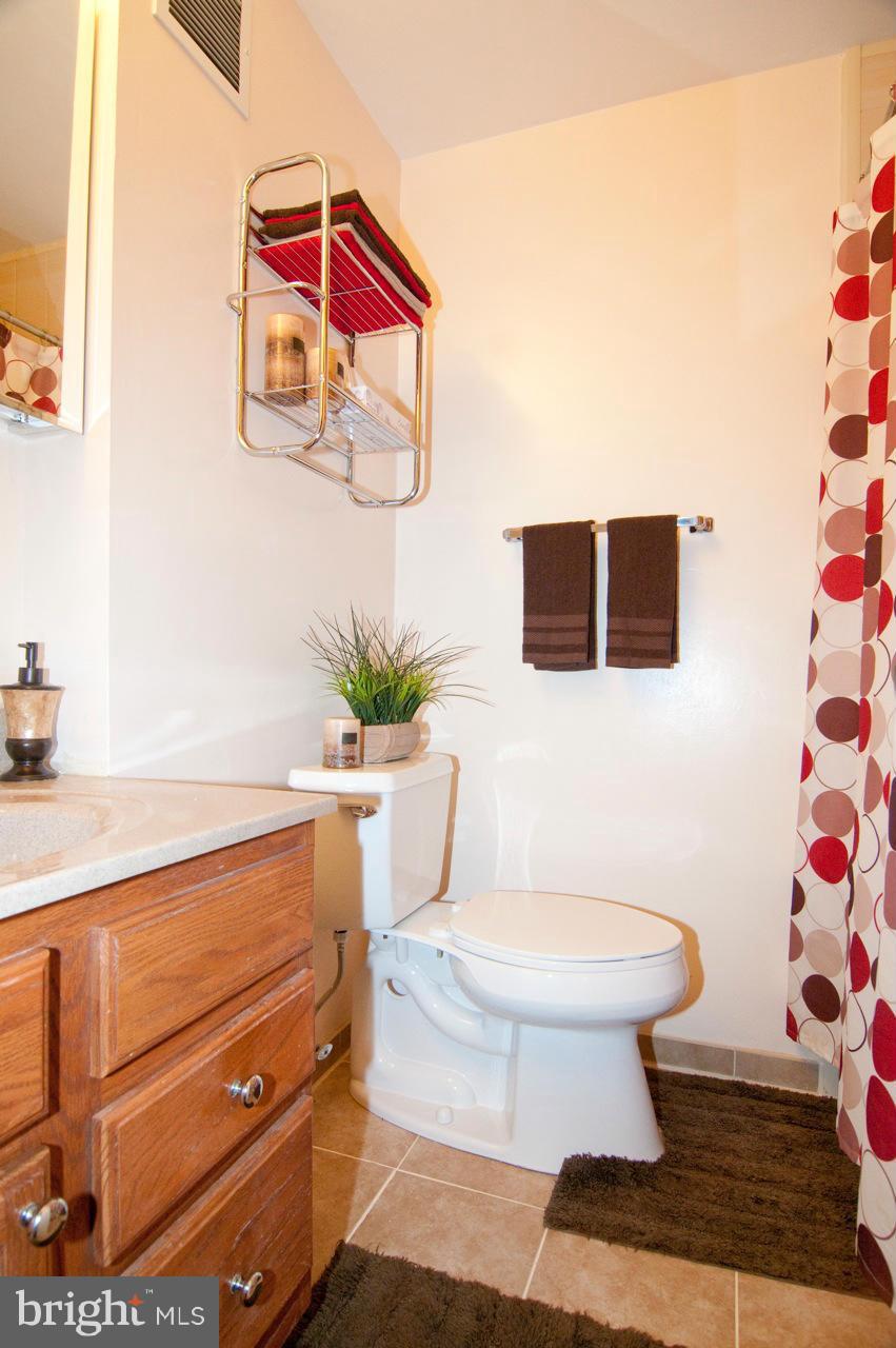 8733 Ridge Hollow Court Springfield, VA 22152 - Photo 17 of 30 Bath (Master)