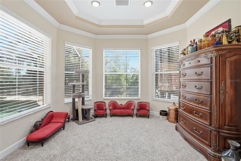 11403 Biddeford Place New Port Richey, FL 34654 - Photo 27 of 78
