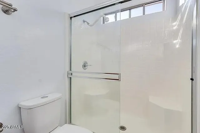 a bathroom with a shower and a toilet
