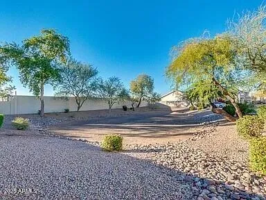 a view of a yard with large trees