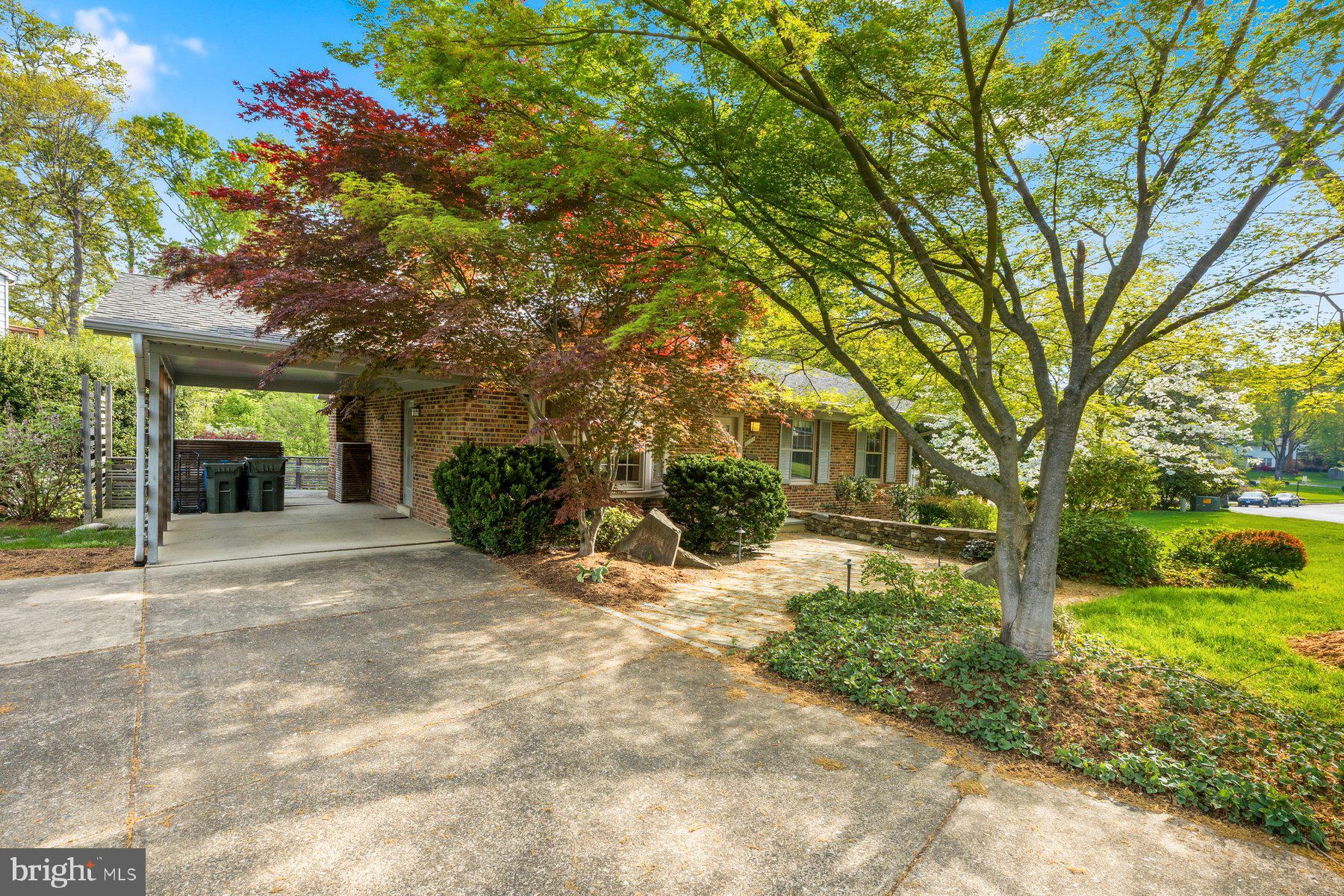 6713 Bellamy Avenue Springfield, VA 22152 - Photo 3 of 49