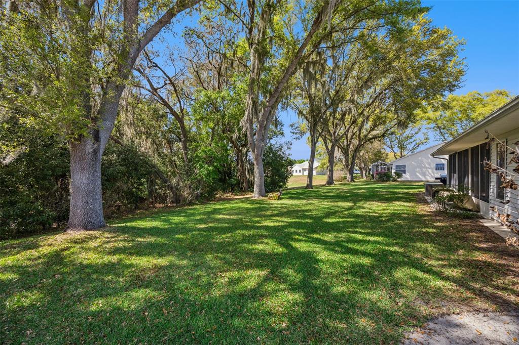 27308 Racquet Circle Leesburg, FL 34748 - Photo 28 of 74