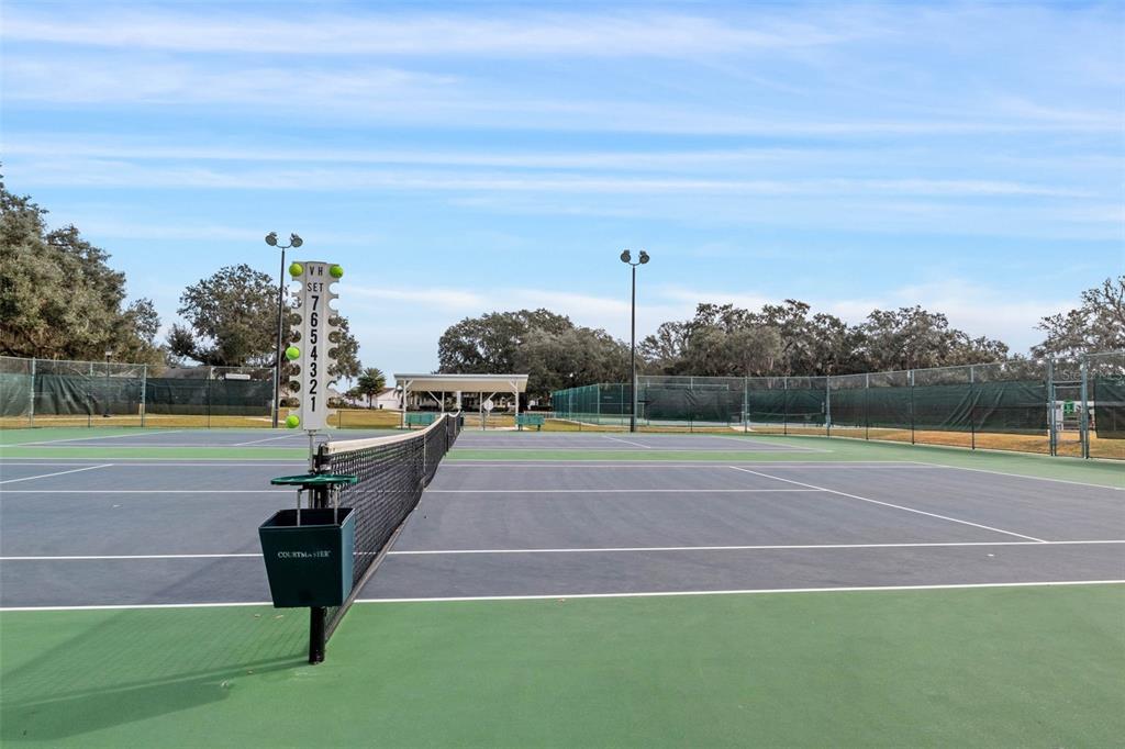 27308 Racquet Circle Leesburg, FL 34748 - Photo 59 of 74