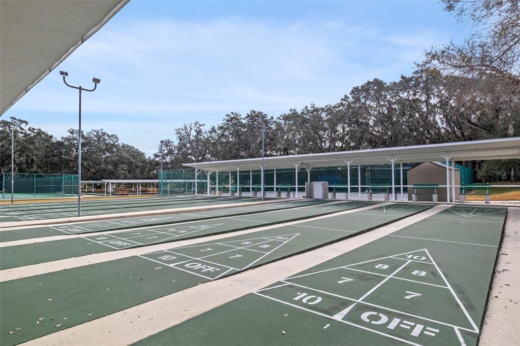 27308 Racquet Circle Leesburg, FL 34748 - Photo 60 of 74