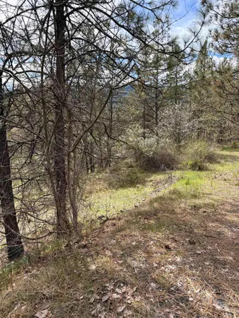 $59,500 | 11 & 15 Kamiah Id 83536, Kamiah, ID 83536