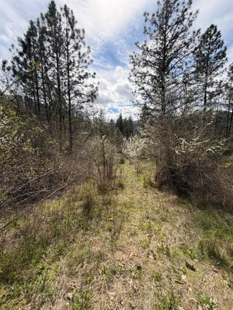 $59,500 | 11 & 15 Kamiah Id 83536, Kamiah, ID 83536