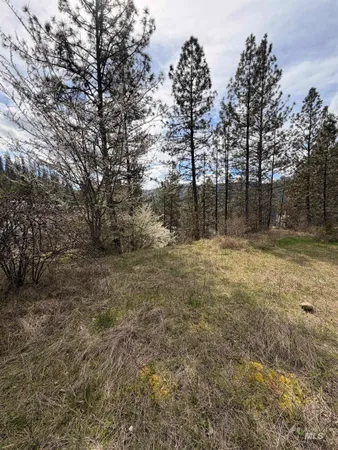 $59,500 | 11 & 15 Kamiah Id 83536, Kamiah, ID 83536