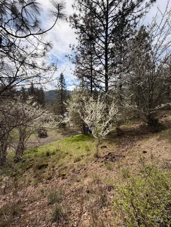 $59,500 | 11 & 15 Kamiah Id 83536, Kamiah, ID 83536