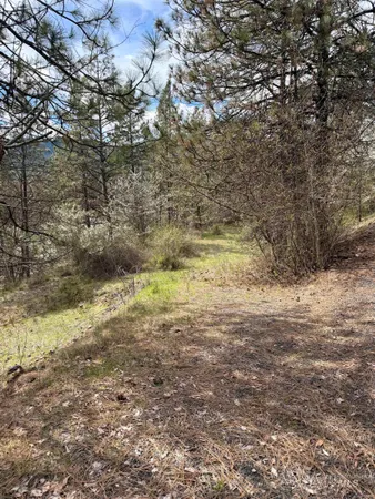 $59,500 | 11 & 15 Kamiah Id 83536, Kamiah, ID 83536