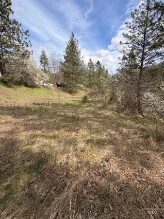 $59,500 | 11 & 15 Kamiah Id 83536, Kamiah, ID 83536