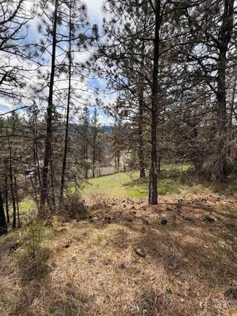 $59,500 | 11 & 15 Kamiah Id 83536, Kamiah, ID 83536