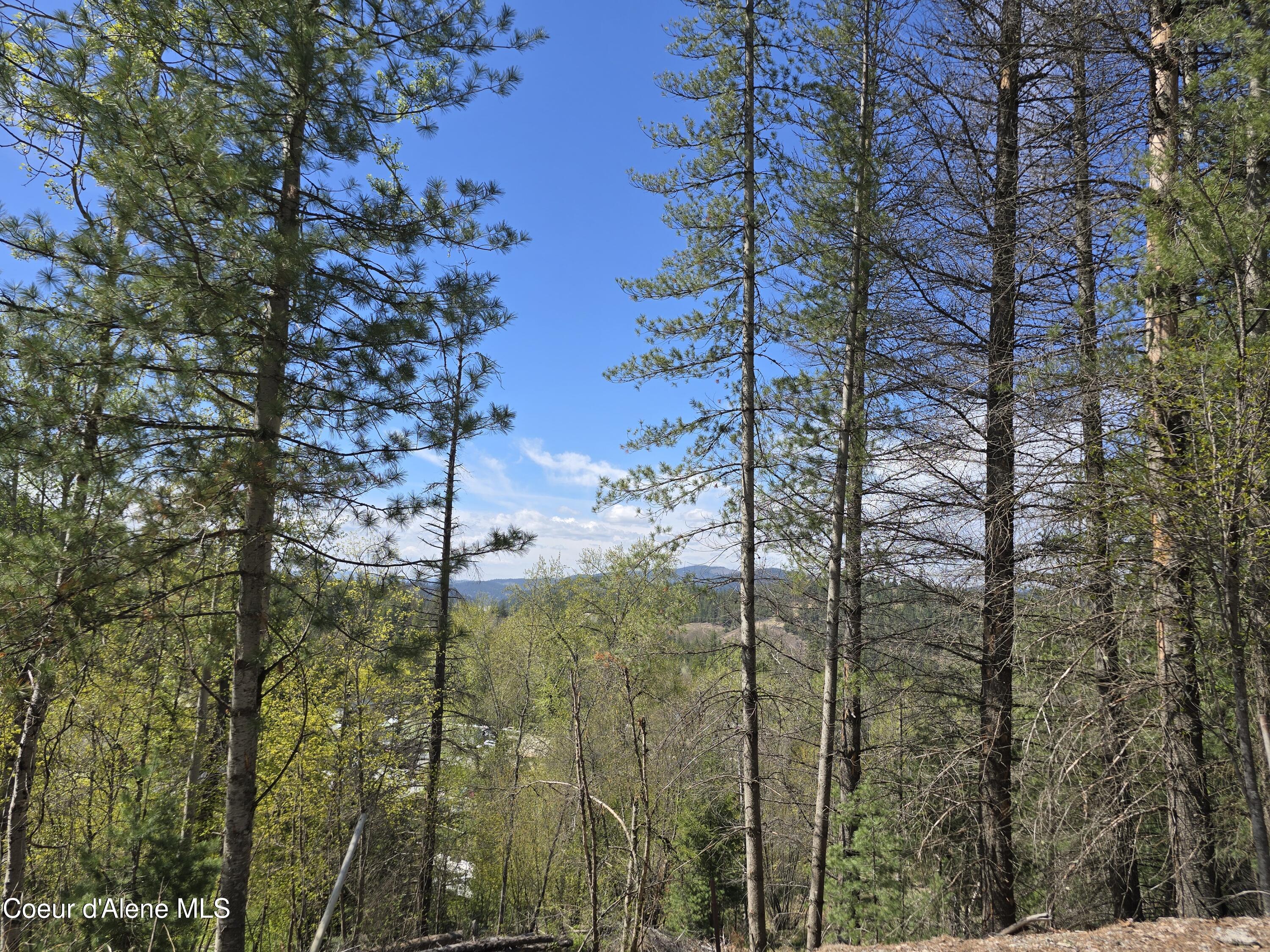 821 Lower Page Road Smelterville, ID 83868 - Photo 8 of 8 1000006177