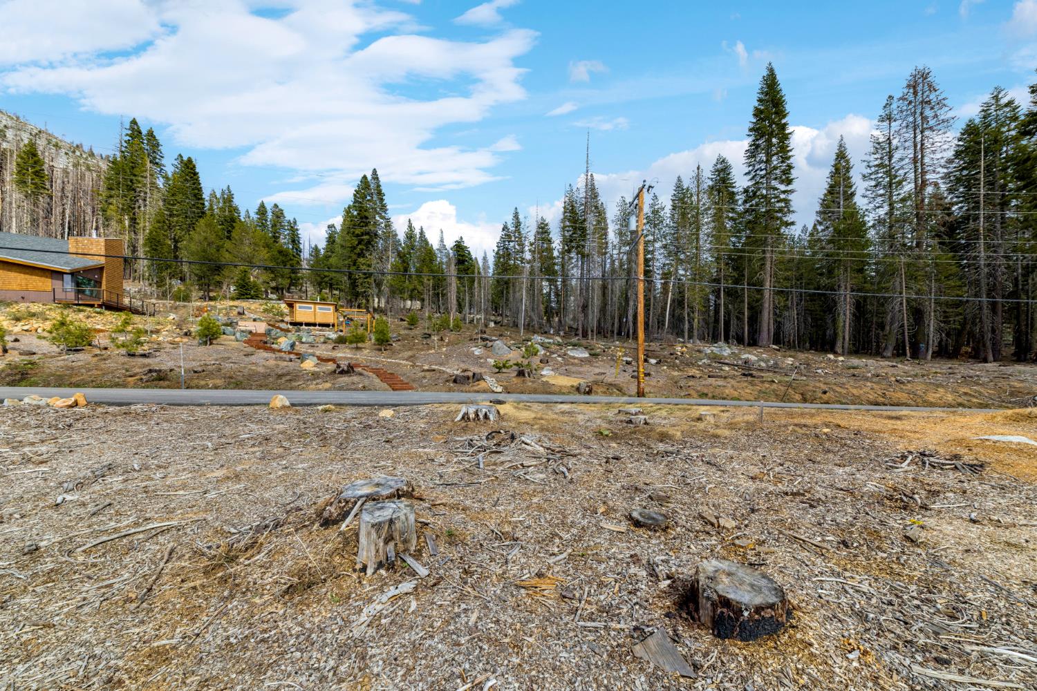 7216 Sierra Pines Road Twin Bridges, CA 95735 - Photo 7 of 16 a view of outdoor space with trees