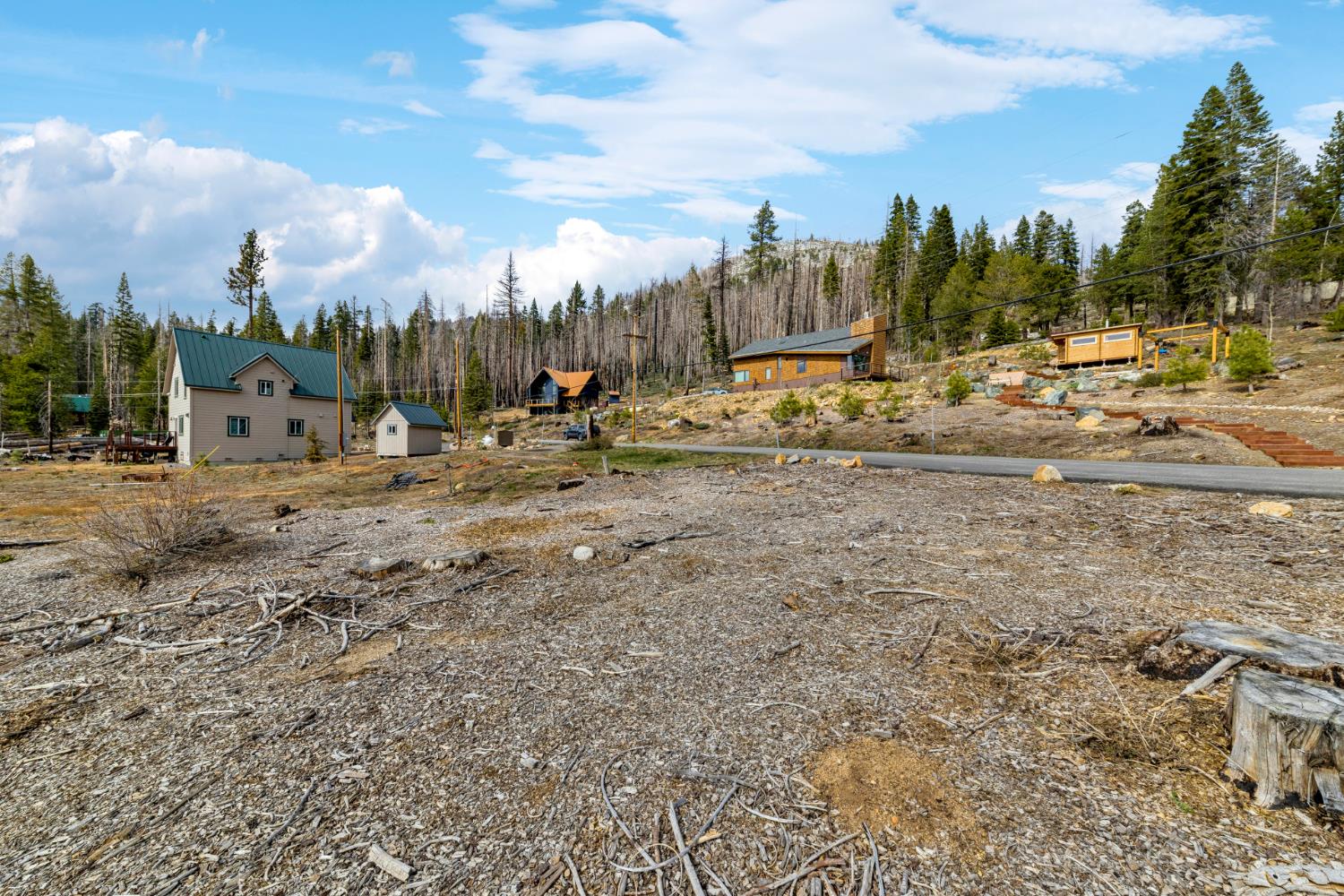 7216 Sierra Pines Road Twin Bridges, CA 95735 - Photo 8 of 16 a view of a yard with a building