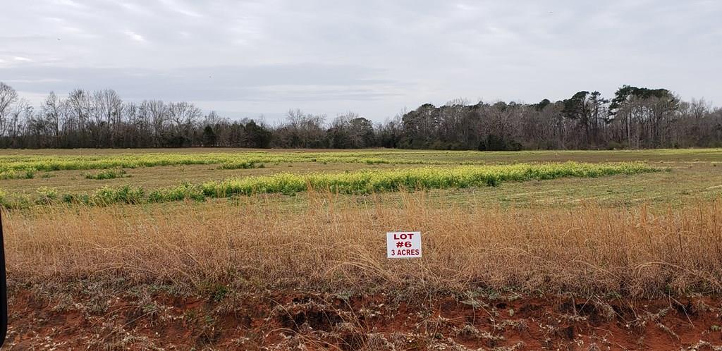 3-acres 3-acres Singletary Road Dothan, AL 36301 - Photo 1 of 1