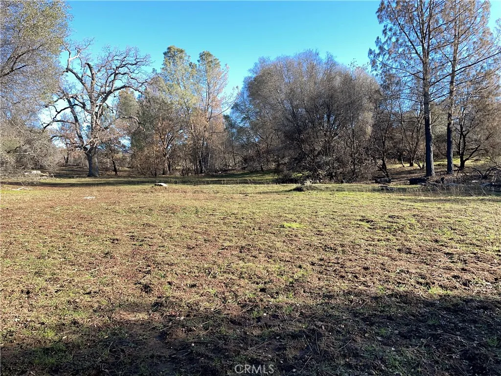 705 Triangle Road Mariposa, CA 95338 - Photo 14 of 14