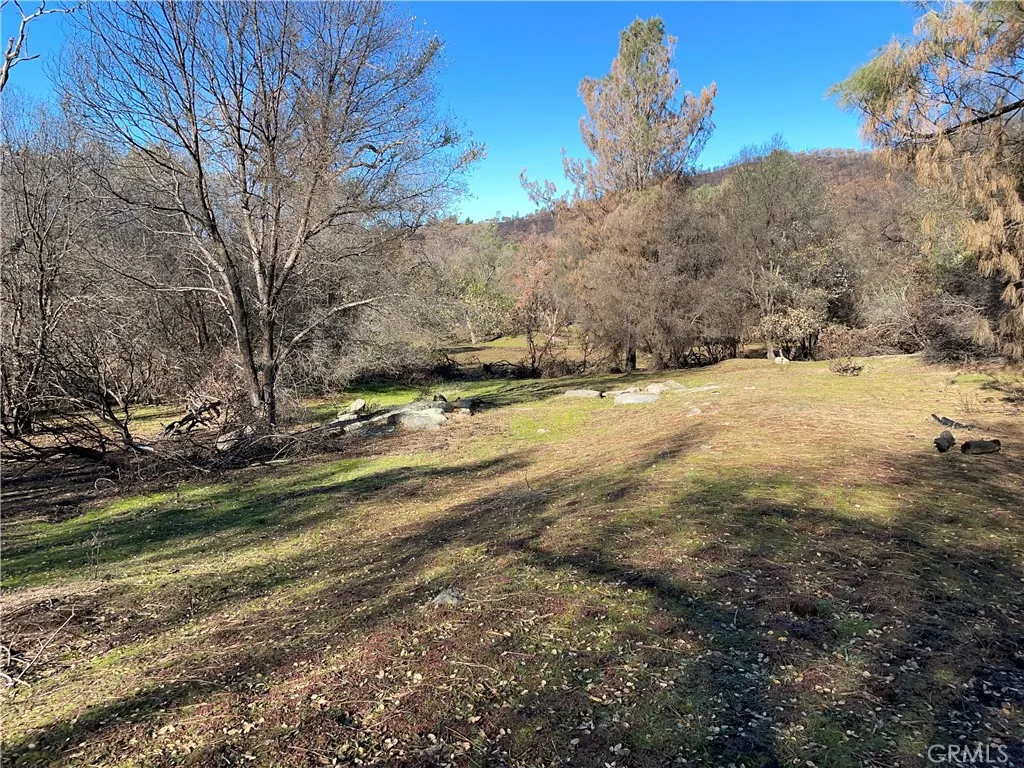 705 Triangle Road Mariposa, CA 95338 - Photo 4 of 14